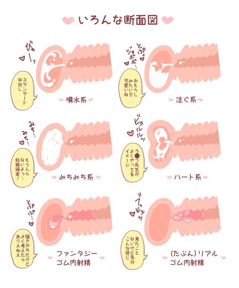 中出し断面図|【二次】中出しがはっきり見える断面図が実用的すぎるエロ画像。